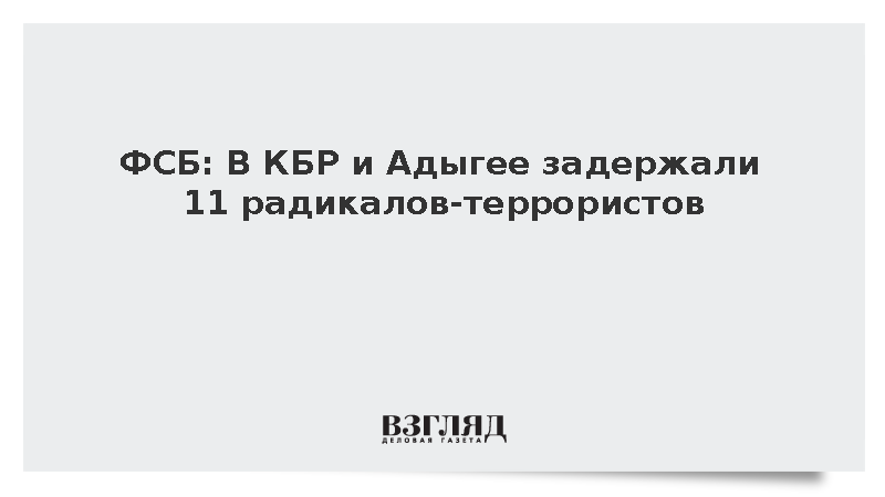 ФСБ: В КБР и Адыгее задержали 11 радикалов-террористов