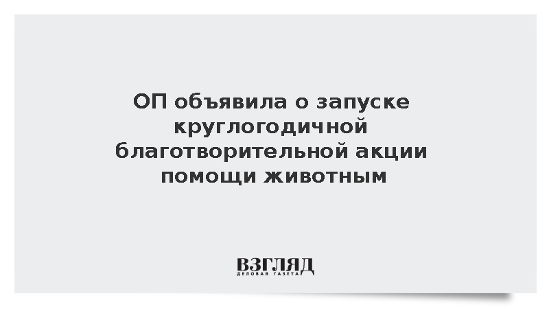 ОП объявила о запуске круглогодичной благотворительной акции помощи животным