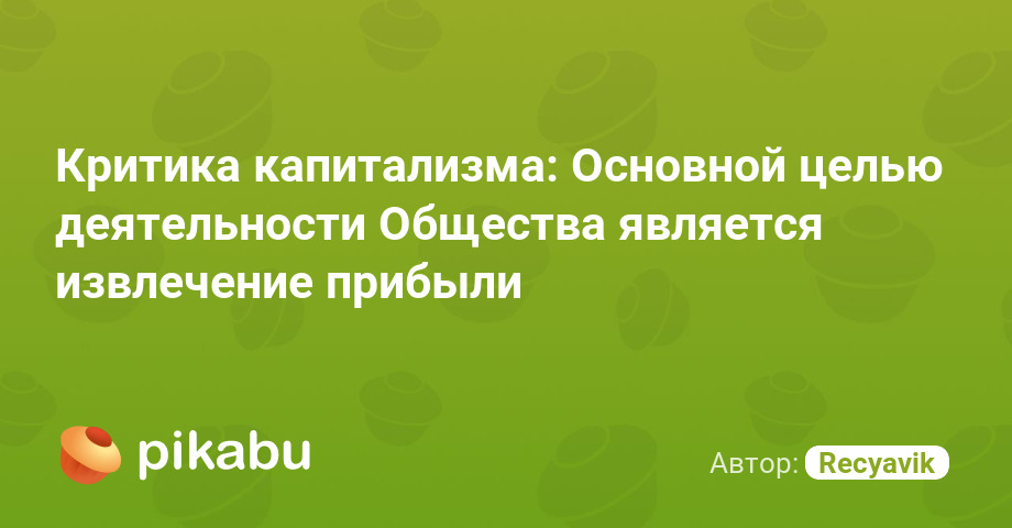 Критика капитализма: Основной целью деятельности Общества является извлечение прибыли