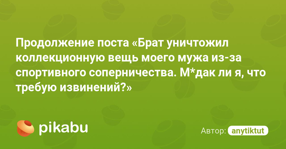 Продолжение поста «Брат уничтожил коллекционную вещь моего мужа из-за спортивного соперничества. М*дак ли я, что требую извинений?»