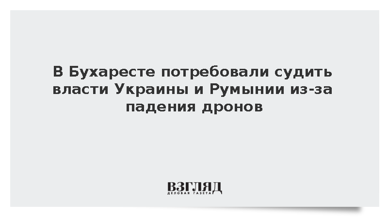 Протестующие в Румынии потребовали завести дела на власти Украины из-за БПЛА