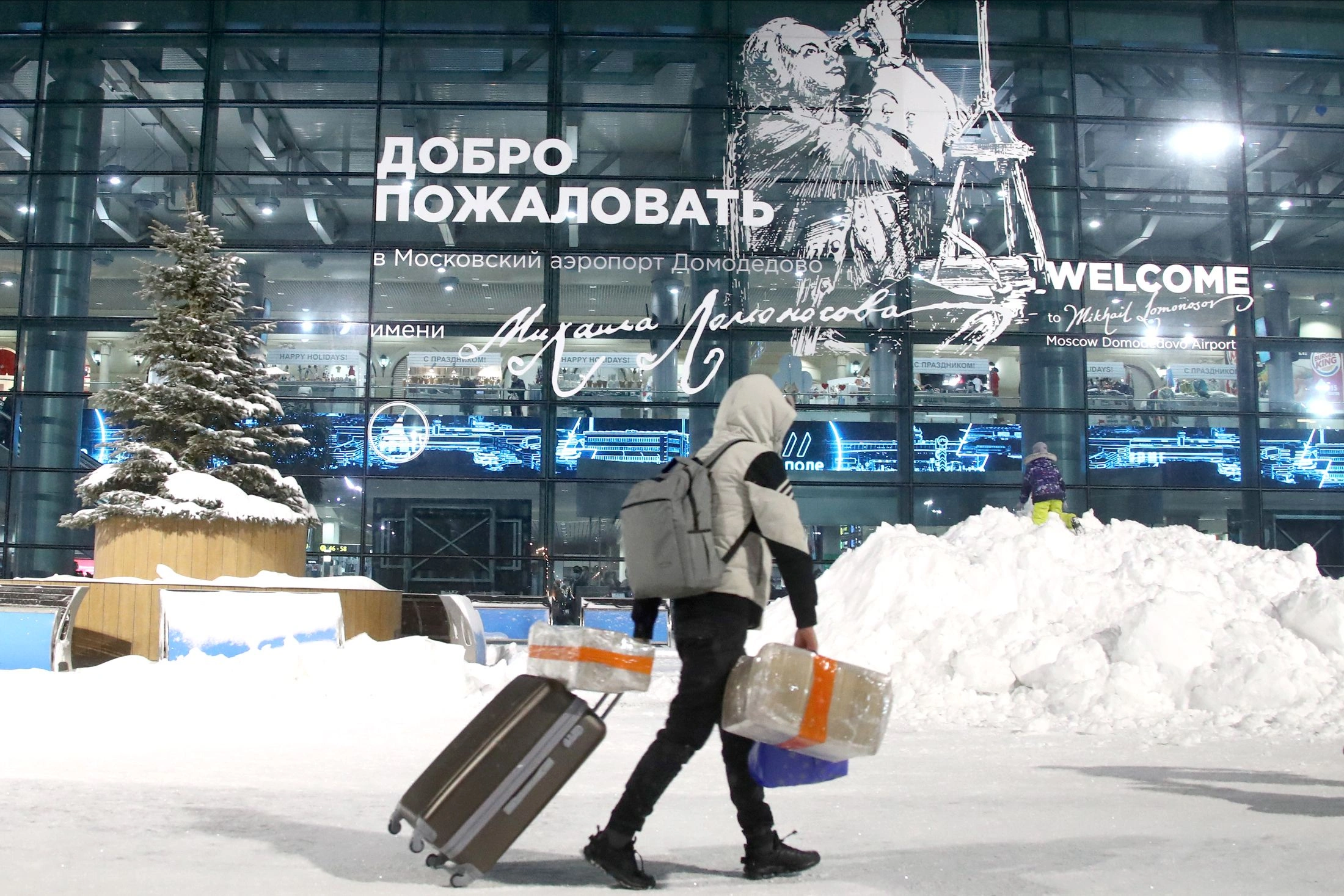 Аэропорт Домодедово повторно выставят на аукцион 29 января